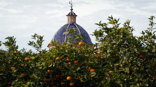 Las naranjas y mandarinas en la cultura mundial y sus contrastes con Valencia