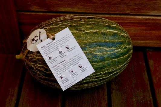 Piel de sapo melon piece 3 kg approximate weight