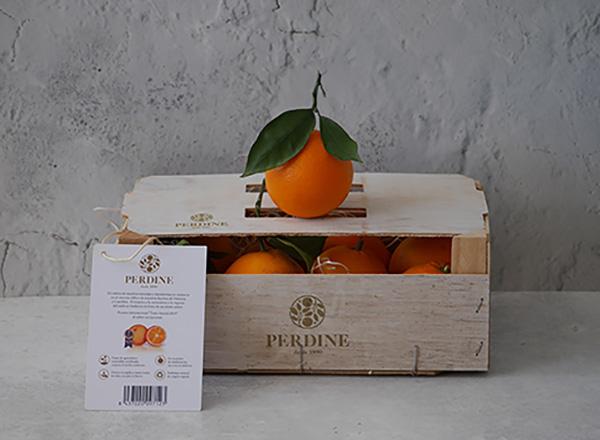 # 🍊 Los cítricos como regalo corporativo: elegancia, sabor y sostenibilidad